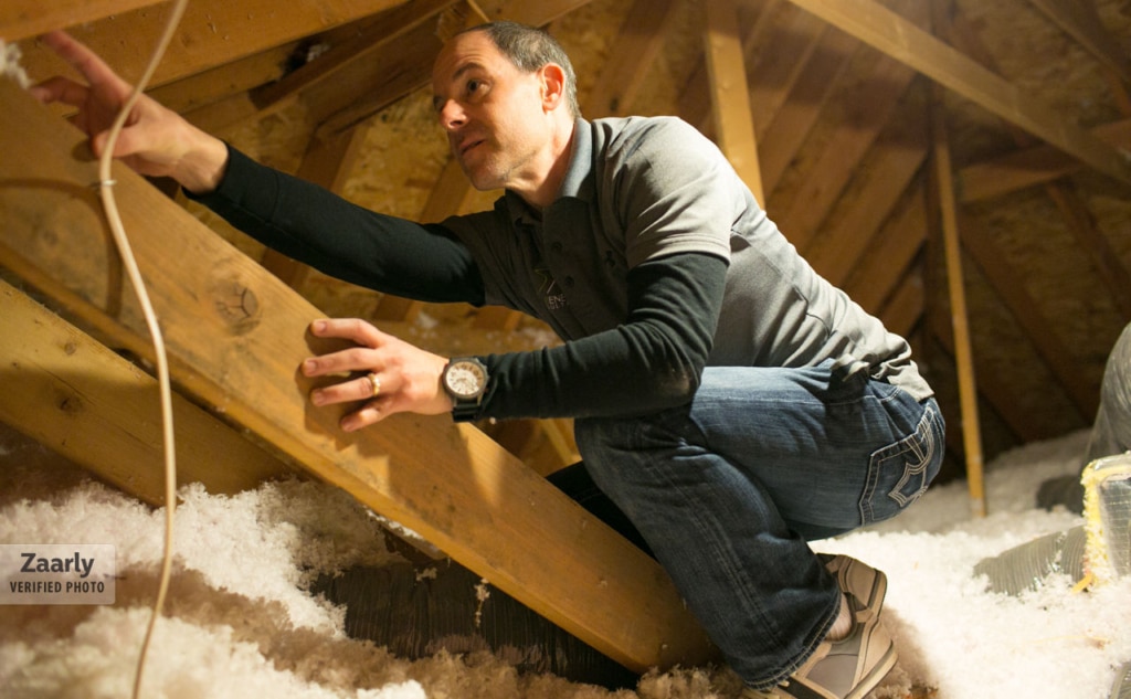 Zaarly Attic
